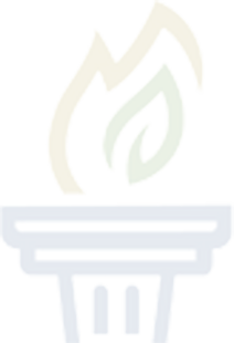 Logo image icon